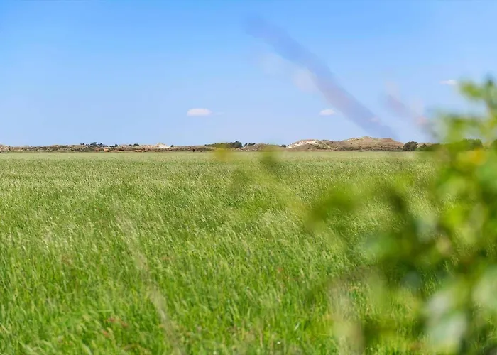 Hébergement de vacances Fan040-fano-nymarken-1 Fanø